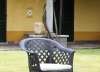 Krzesła Fotel Lario 